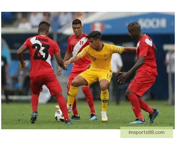 世界杯足球竞猜平台全方位解析打造最佳竞猜体验助你赢得更多奖励